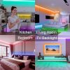 Bedroom LED Light 50 Feet Music Sync Color Changing Light with Remote Control & App Control RGB Strip for Room Home Party Decoration